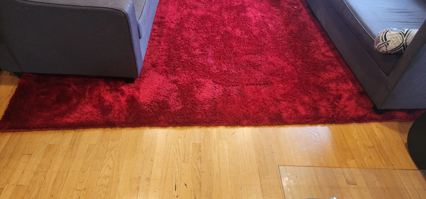 Red Shaggy Area Rug