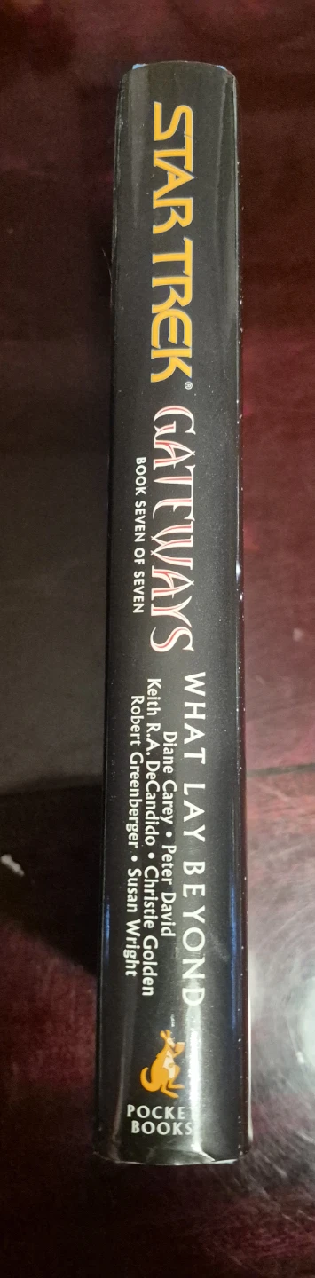 Star Trek Gateways: What Lay Beyond Book - photo 5