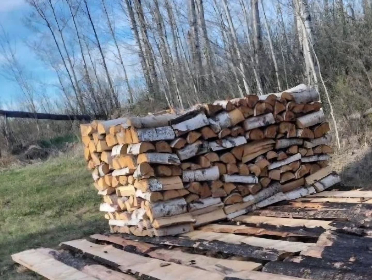 Birch firewood