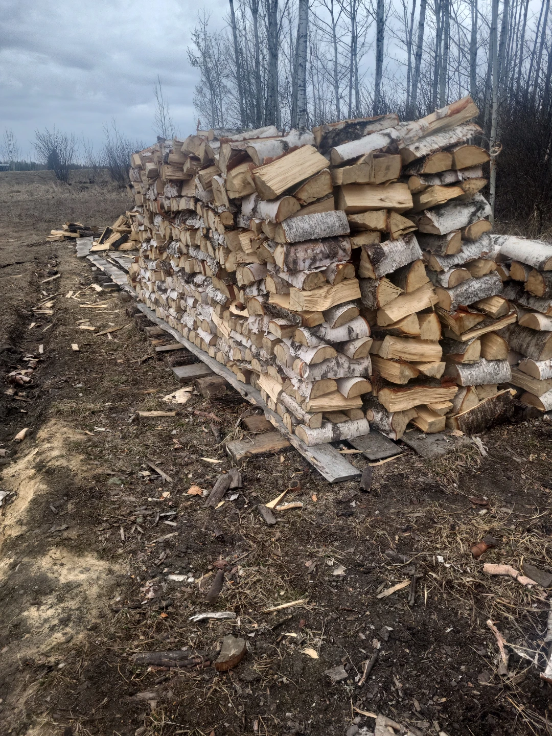 Birch firewood - photo 4