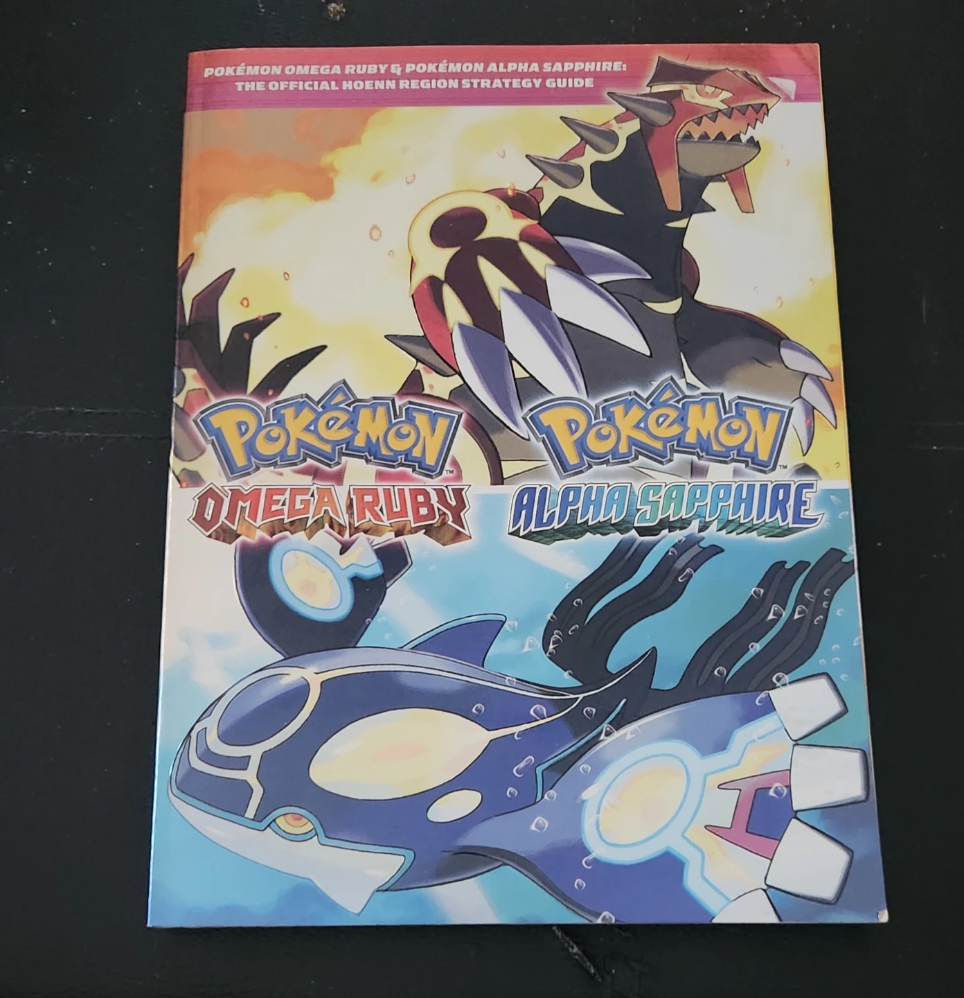 Pokemon Omega Ruby & Alpha Sapphire Official Strategy Guide 🌱