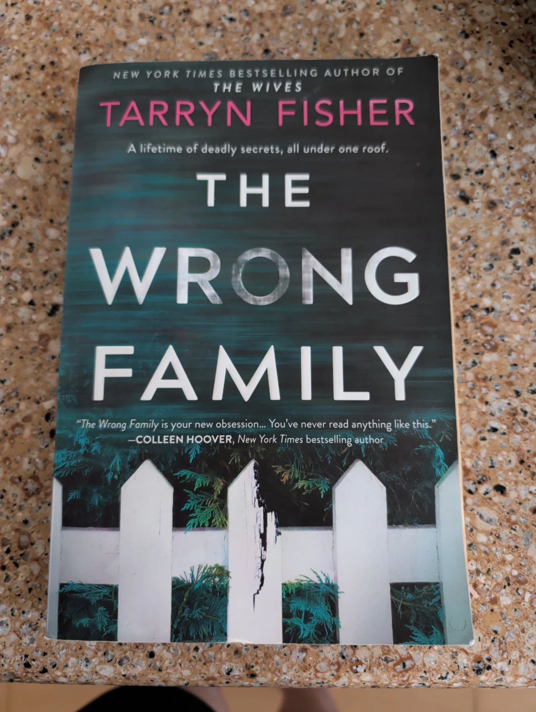 The Wrong Family by Tarryn Fisher - Paperback