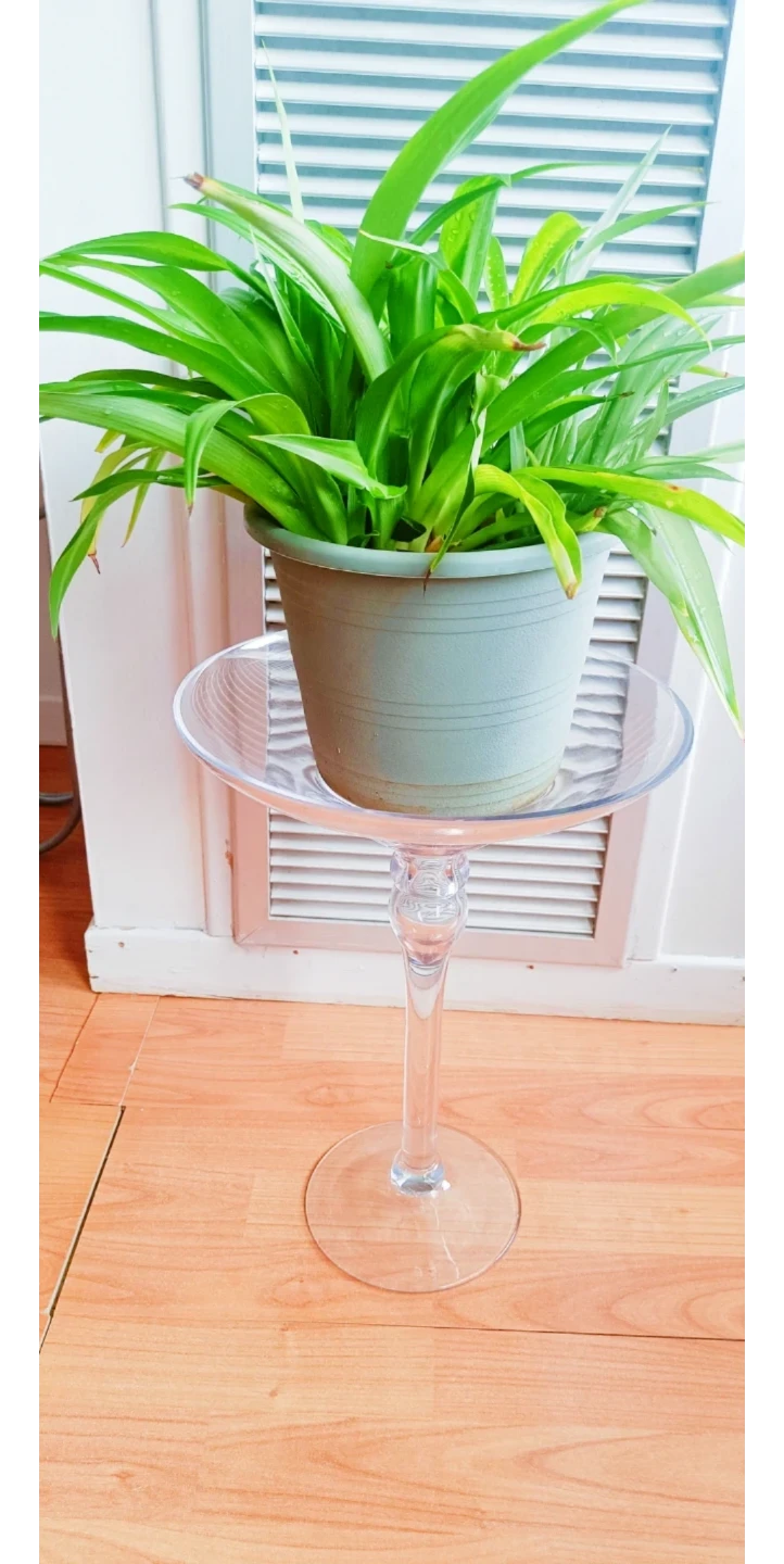 Large Martini Glass Plant Stand