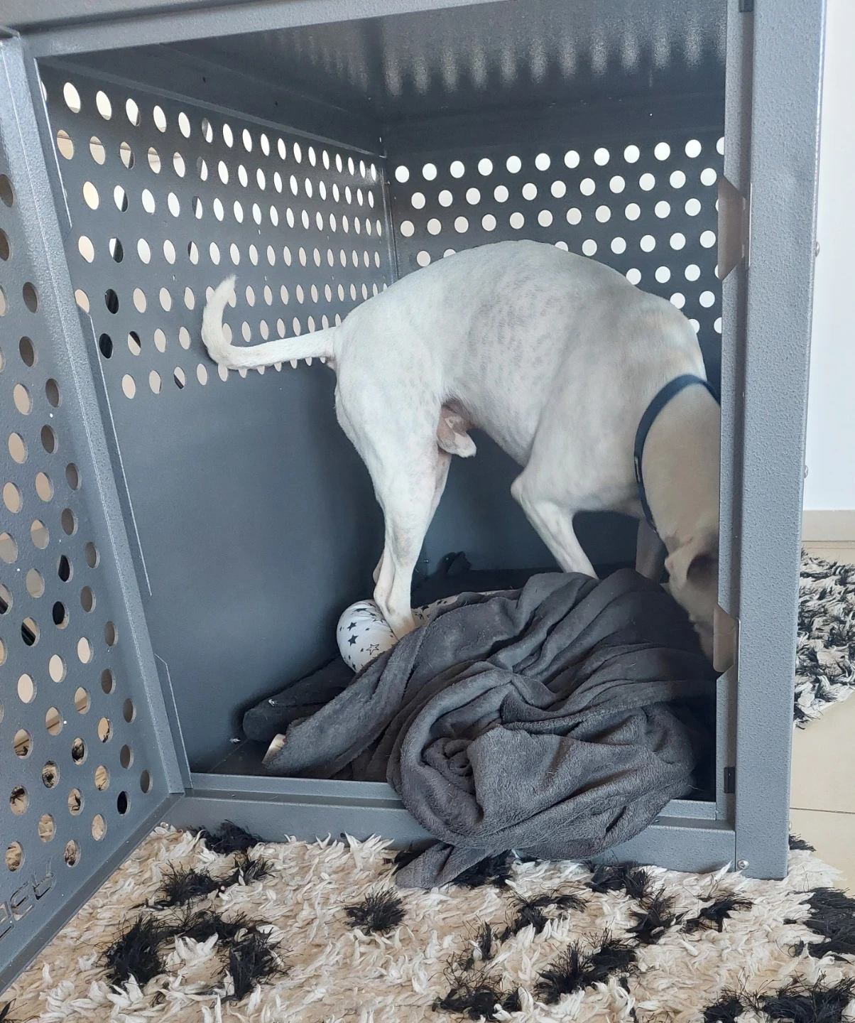 Heavy Duty Dog Crate - photo 2