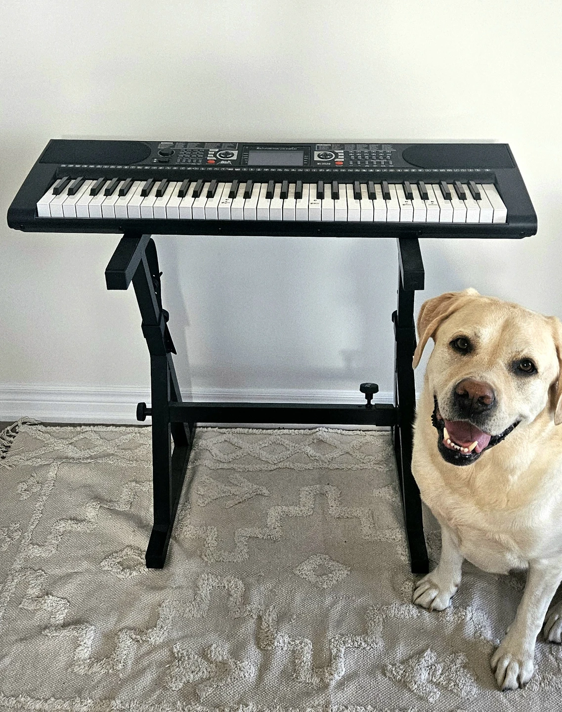Aklot MI3529 61 Key Electronic Keyboard with Stand