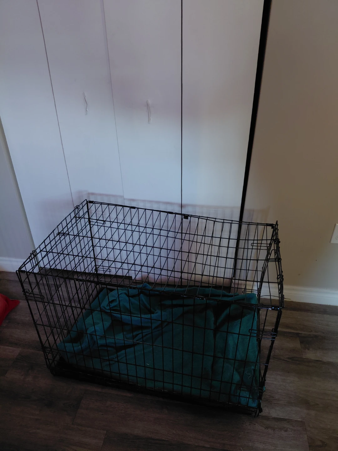 Wire Dog Crate with Blanket
