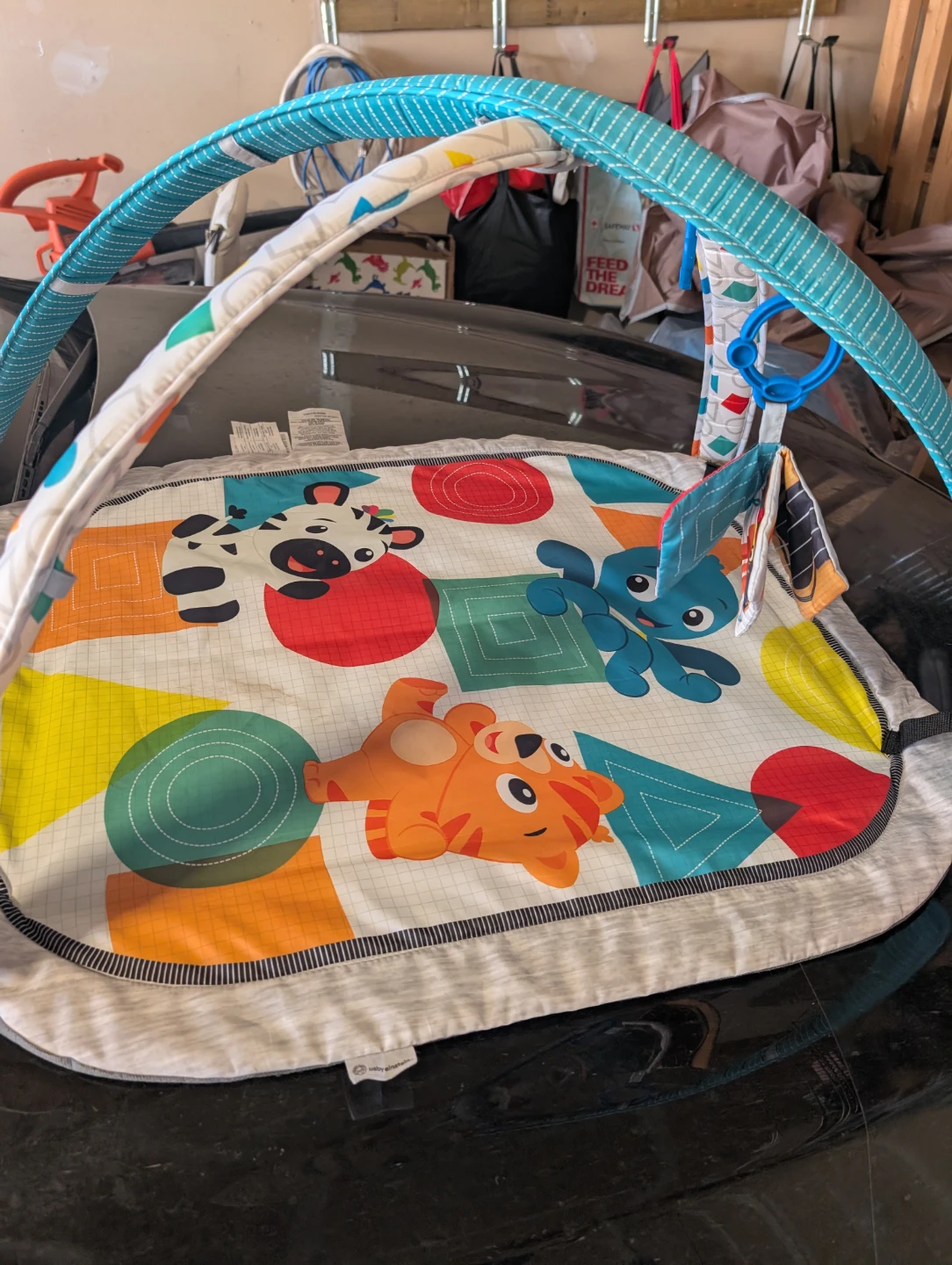 Infant Activity Gym Play Mat with Toys