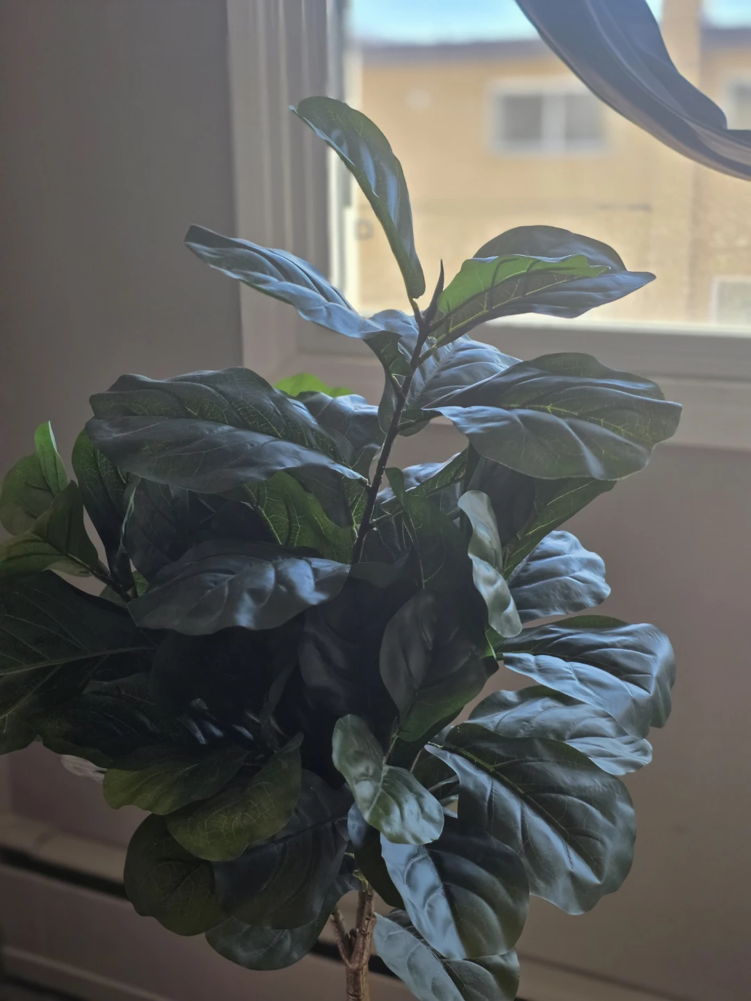 Artificial Fiddle Leaf Fig Tree - photo 3