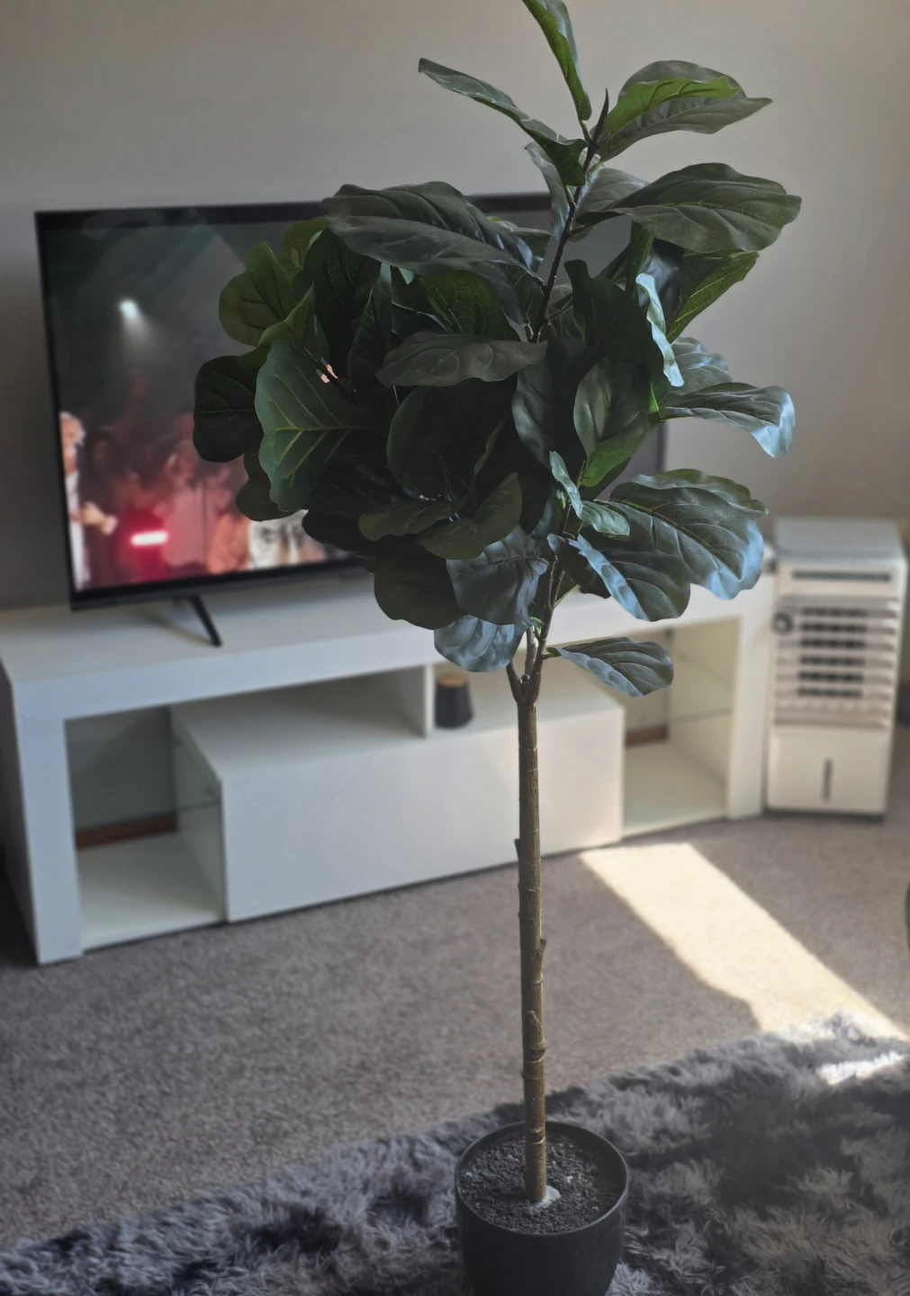 Artificial Fiddle Leaf Fig Tree - photo 4