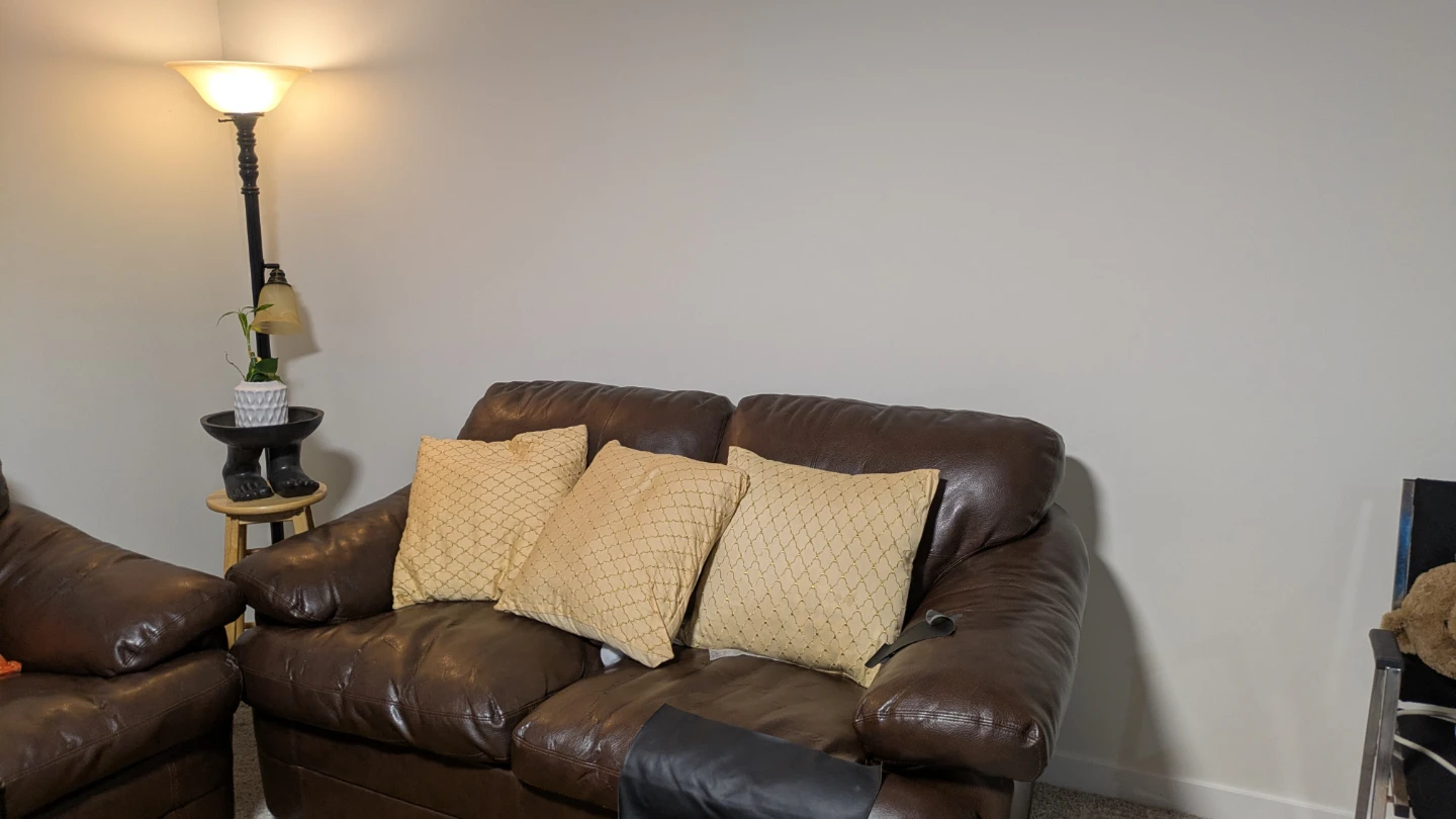 Dark Brown Leather Sofa