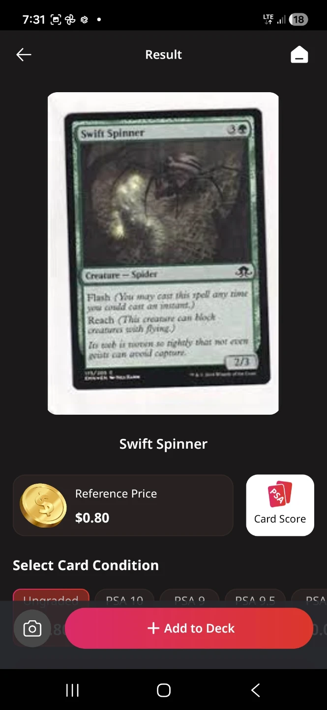 Magic: The Gathering Cards - Various