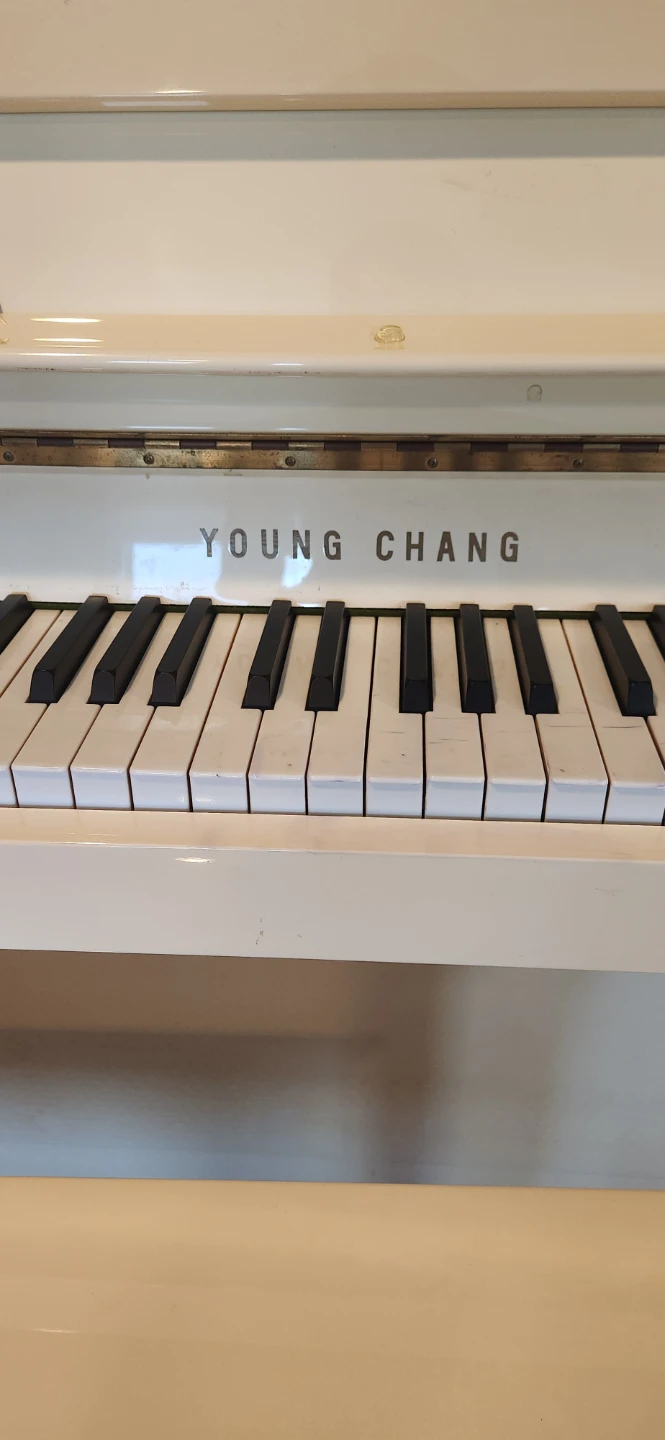 Ivory young change piano - photo 3