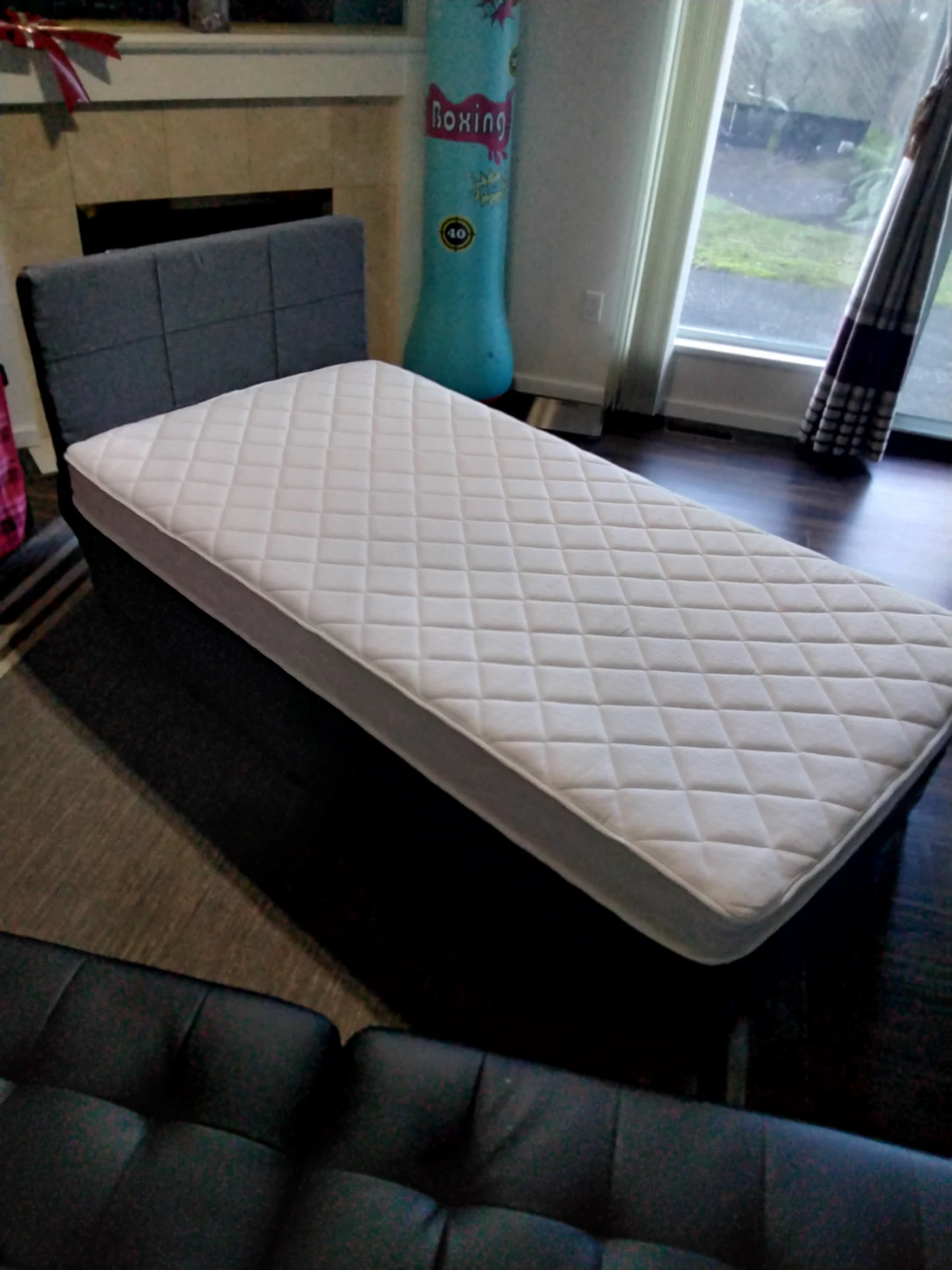 Grey Twin Daybed with Mattress