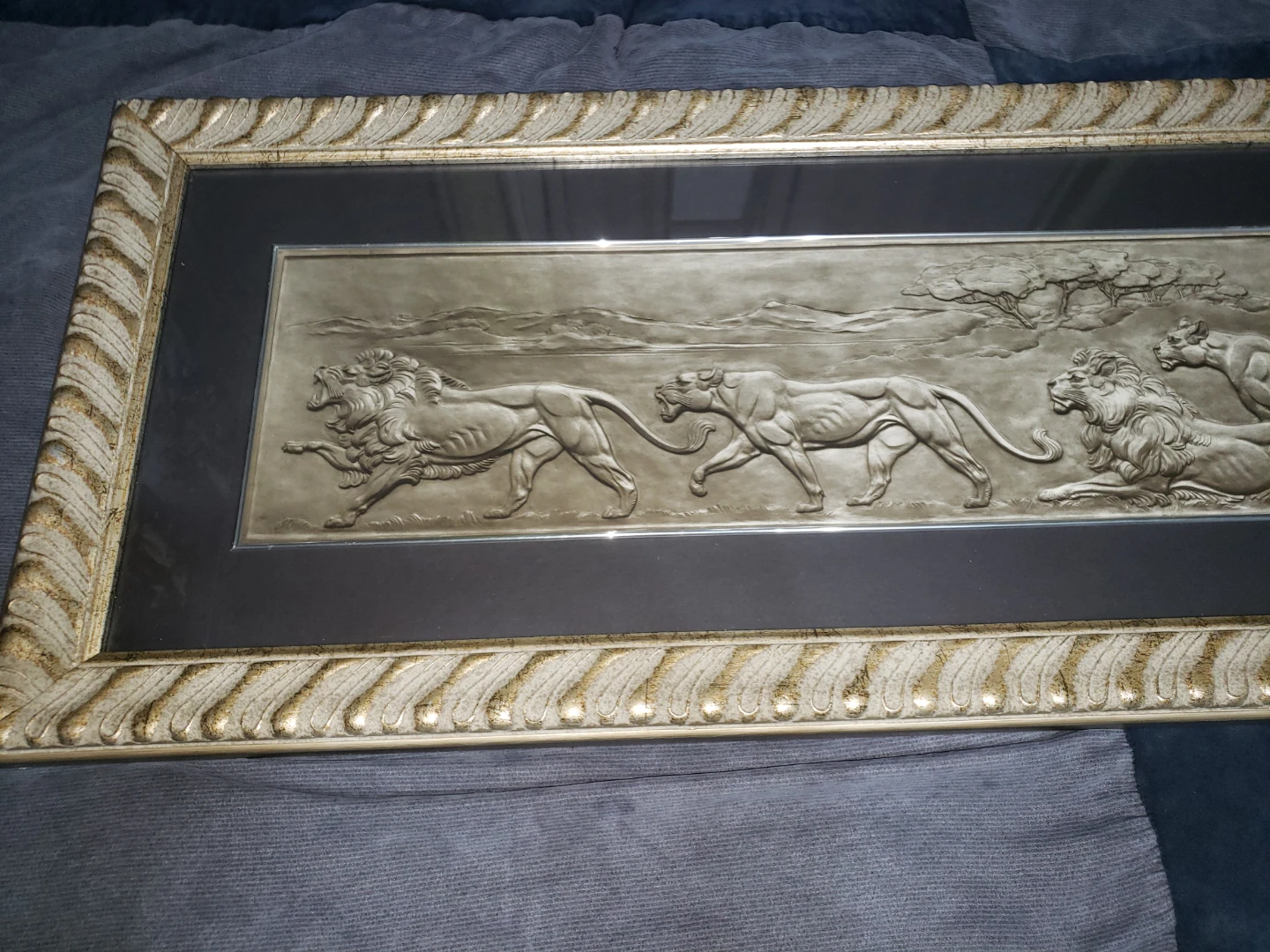 47 Inch Panoramic Portrait of Lions - photo 4