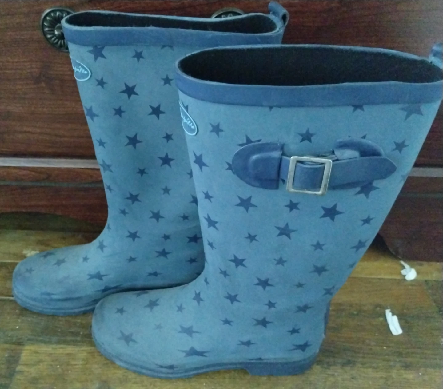 Blue Star Rain Boots