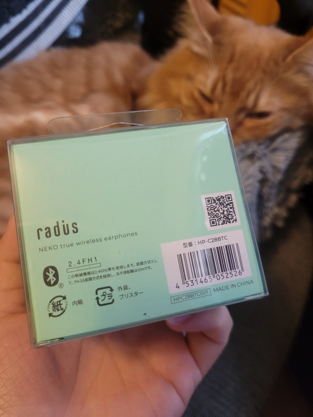 Radius NEKO true wireless earphones (orange tabby not included) - photo 4