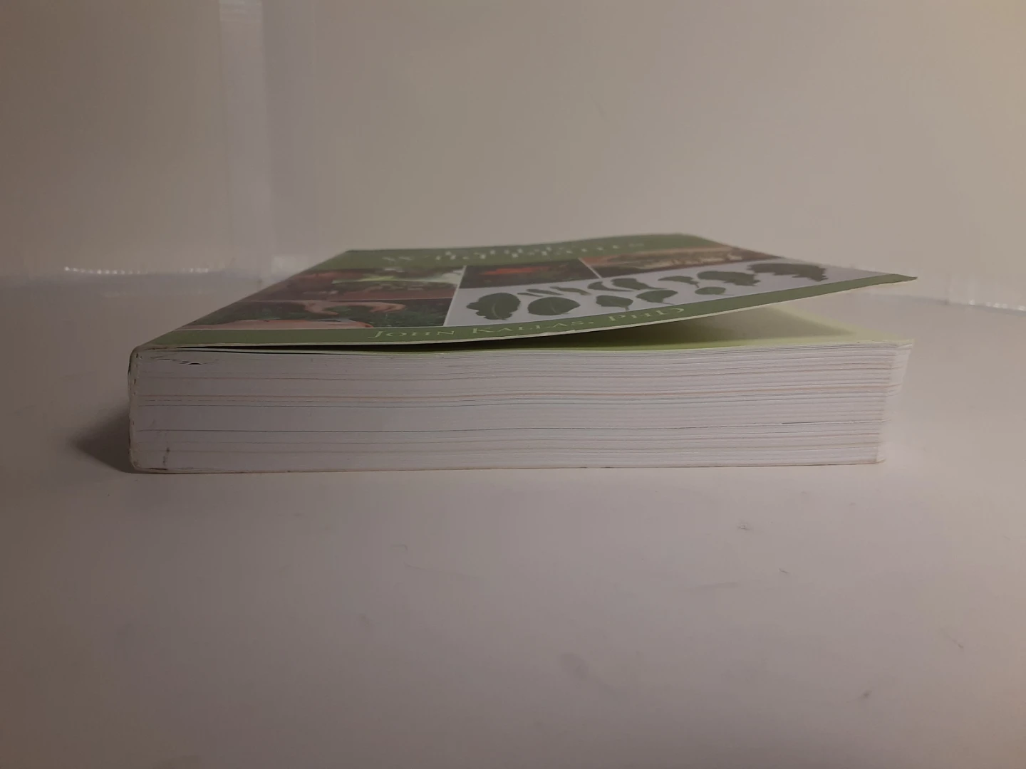 Edible Wild Plants: Wild Foods from Dirt to Plate Book - photo 3