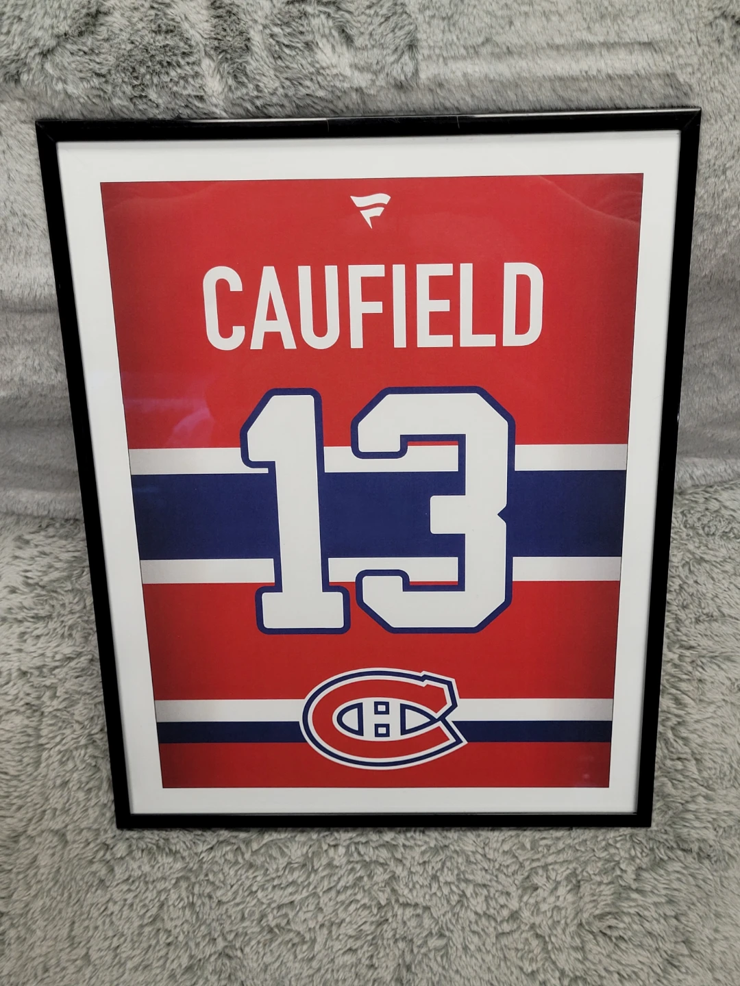 Cole caufield ( framed custom jersey collectible ) 14x12