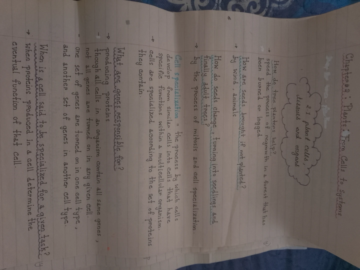 Grade 10 Science Notes 🌱