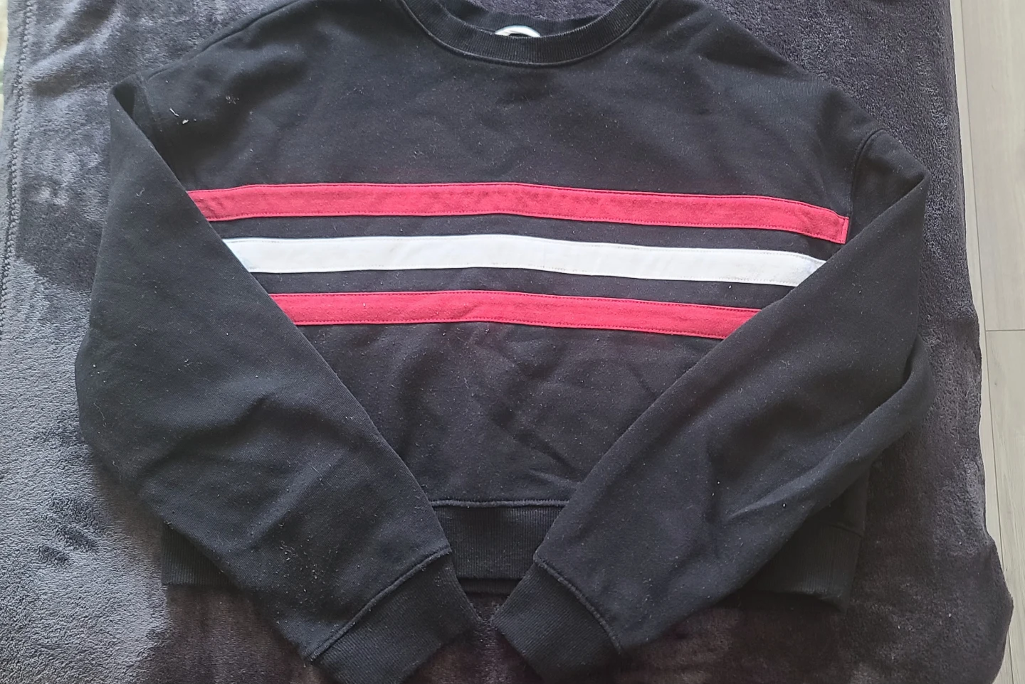 Champion Crop Sweatshirt