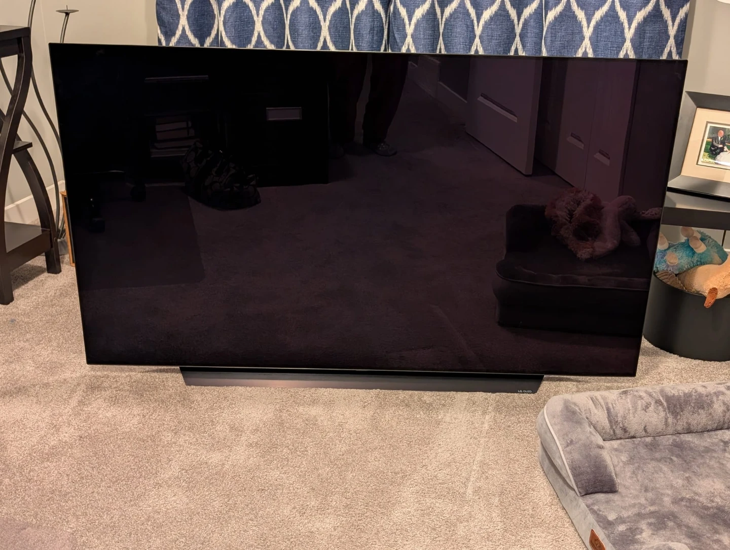 LG OLED C1 Series 65" TV - photo 2