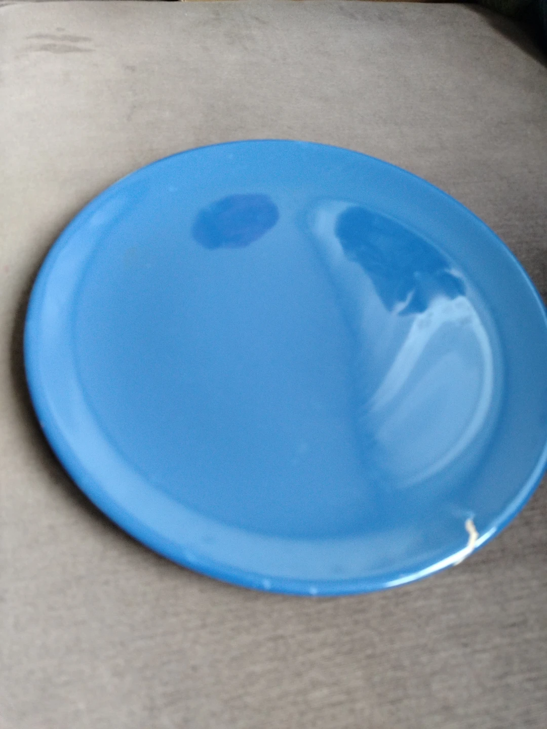 Blue Dinner Plate