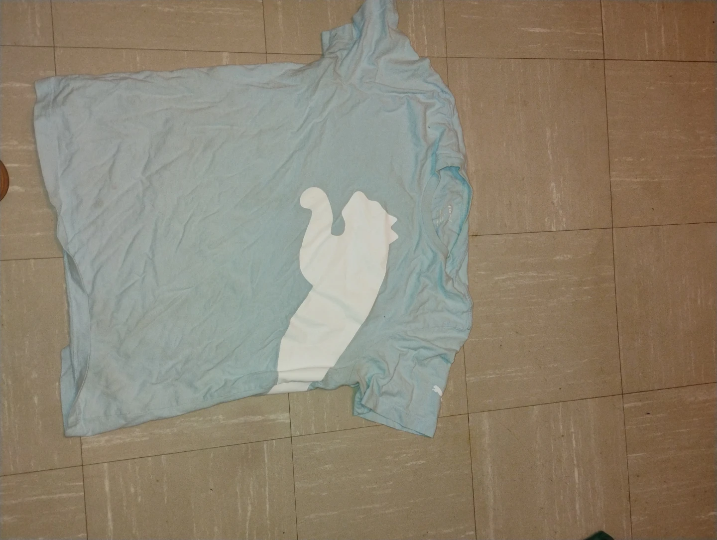 Puma Light Blue T-Shirt