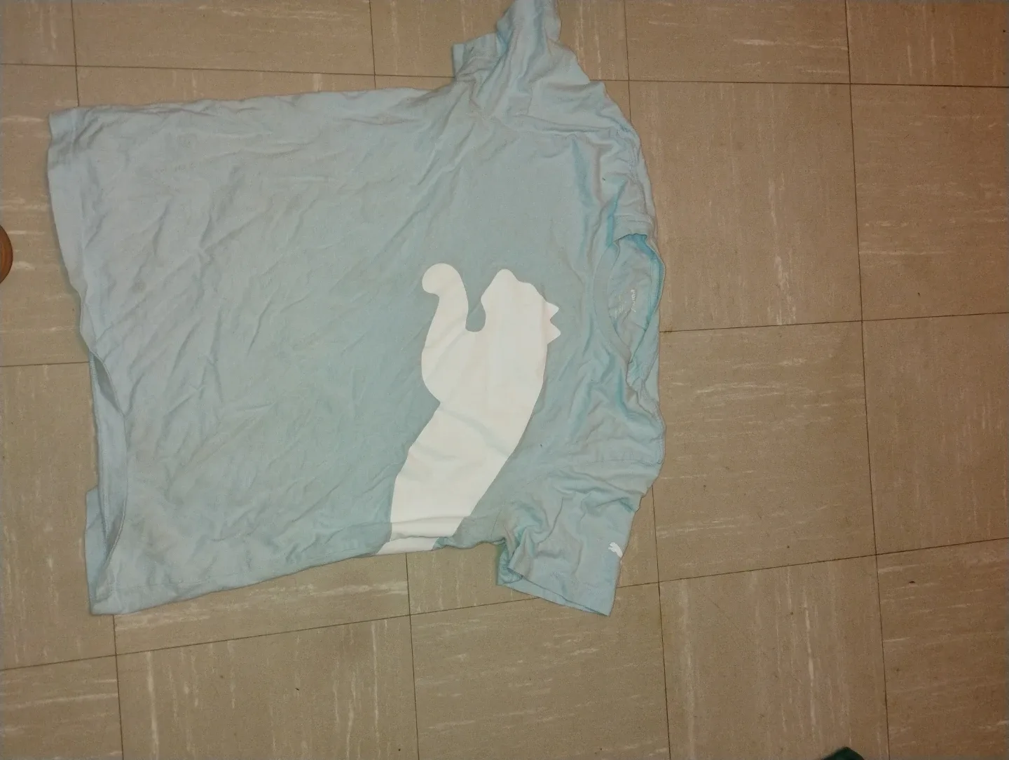 Puma Light Blue T-Shirt