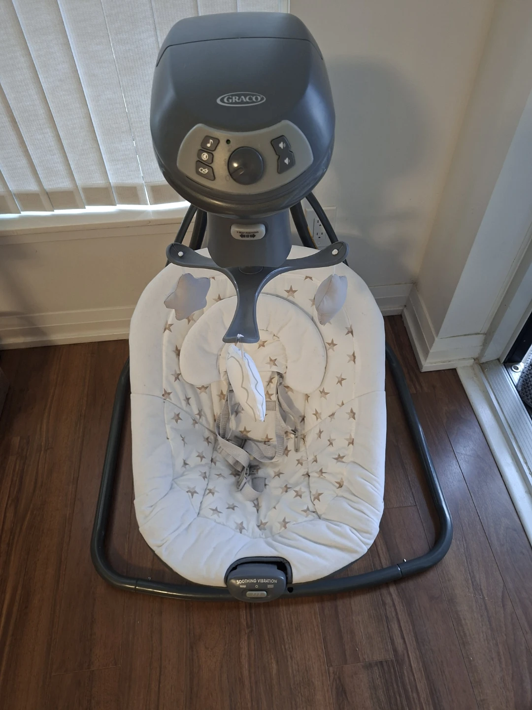 Graco Baby Swing