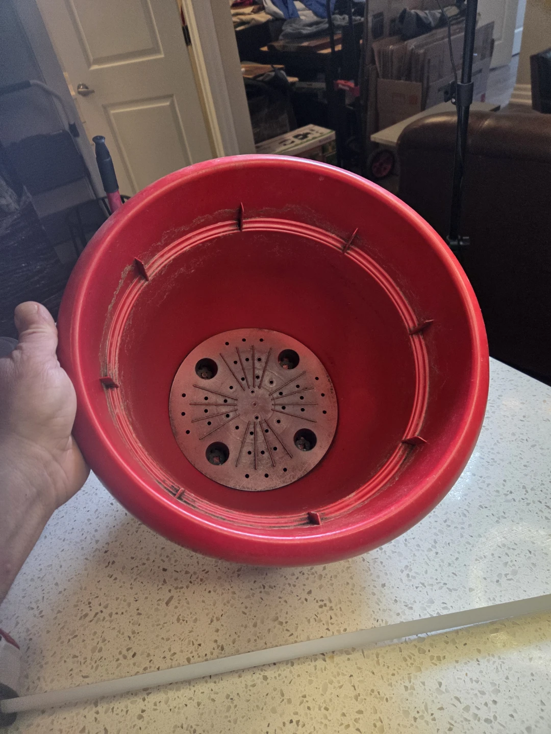 Red Ariana Pot - photo 4