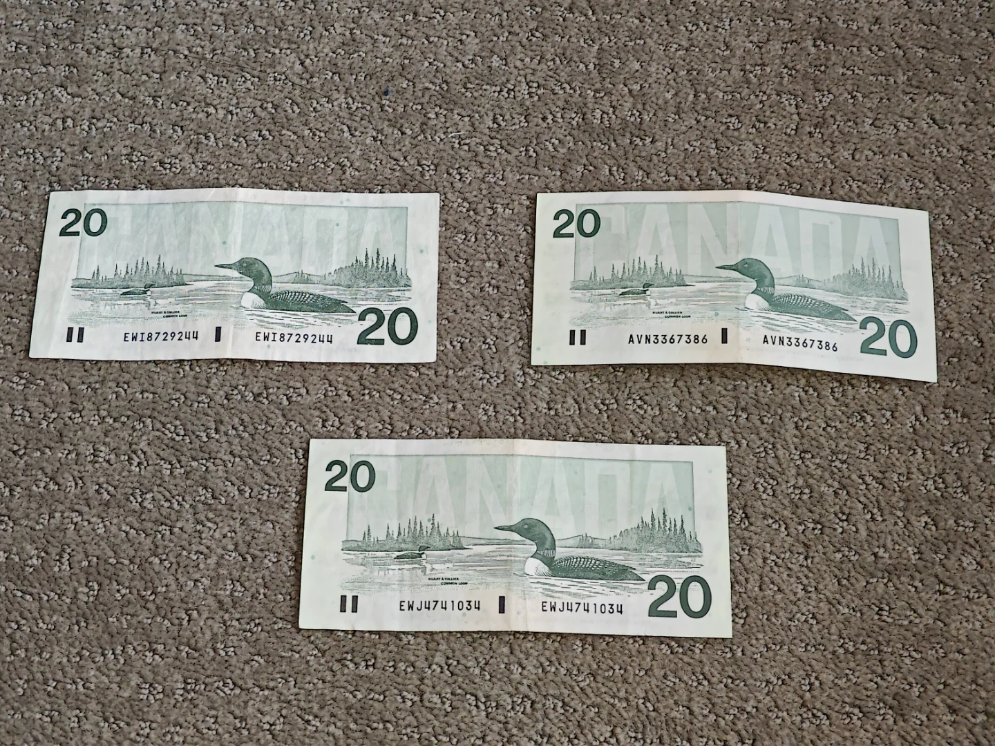 Set of 3 Vintage 1991 Canadian $20 Bills Birds of Canada Series - photo 5