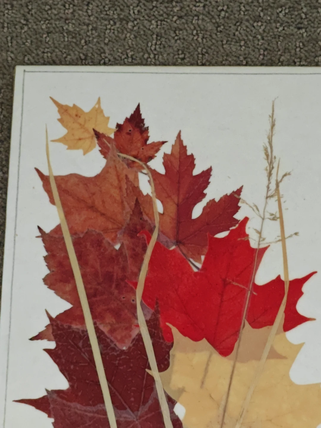 Pressed Leaf Wall Art Autumn Harvest by UGET Originals - 7"x14" - photo 2