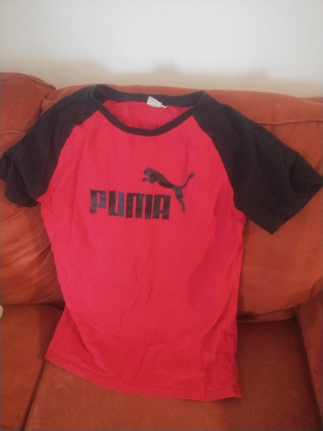 Puma Raglan T-Shirt - Red/Black
