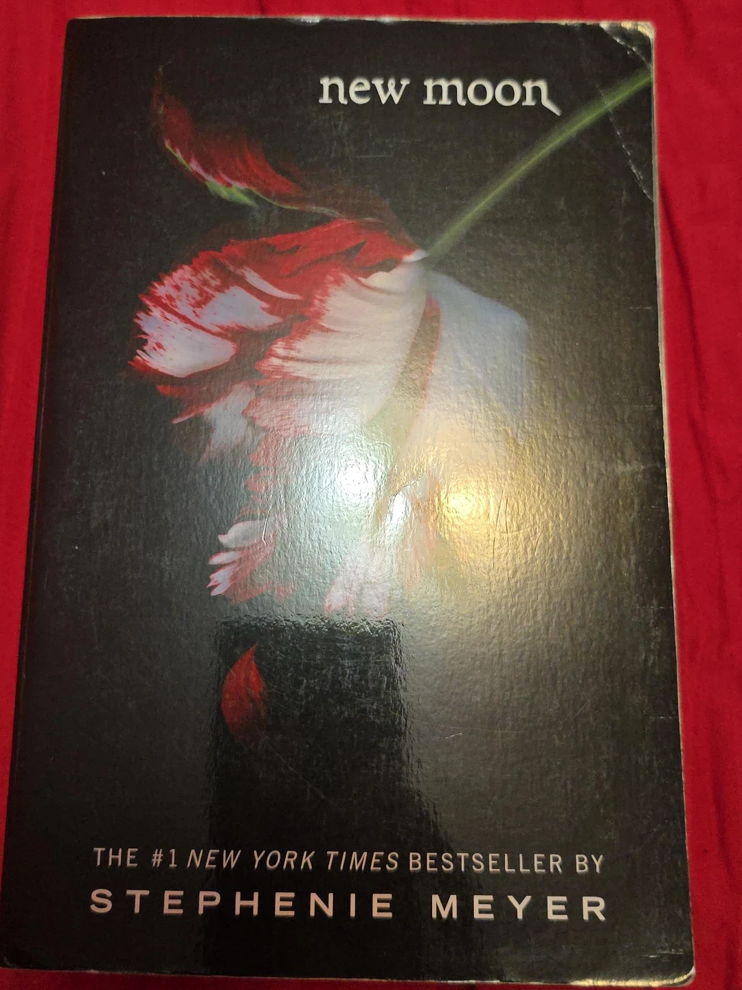 The Twilight Saga Books by Stephenie Meyer - photo 2