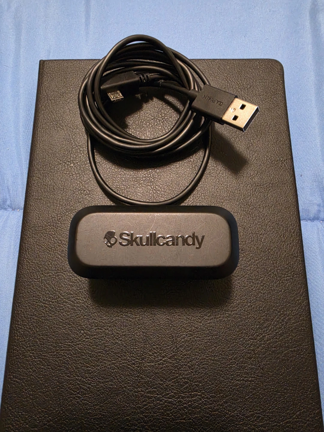 Skyllcandy earbuds