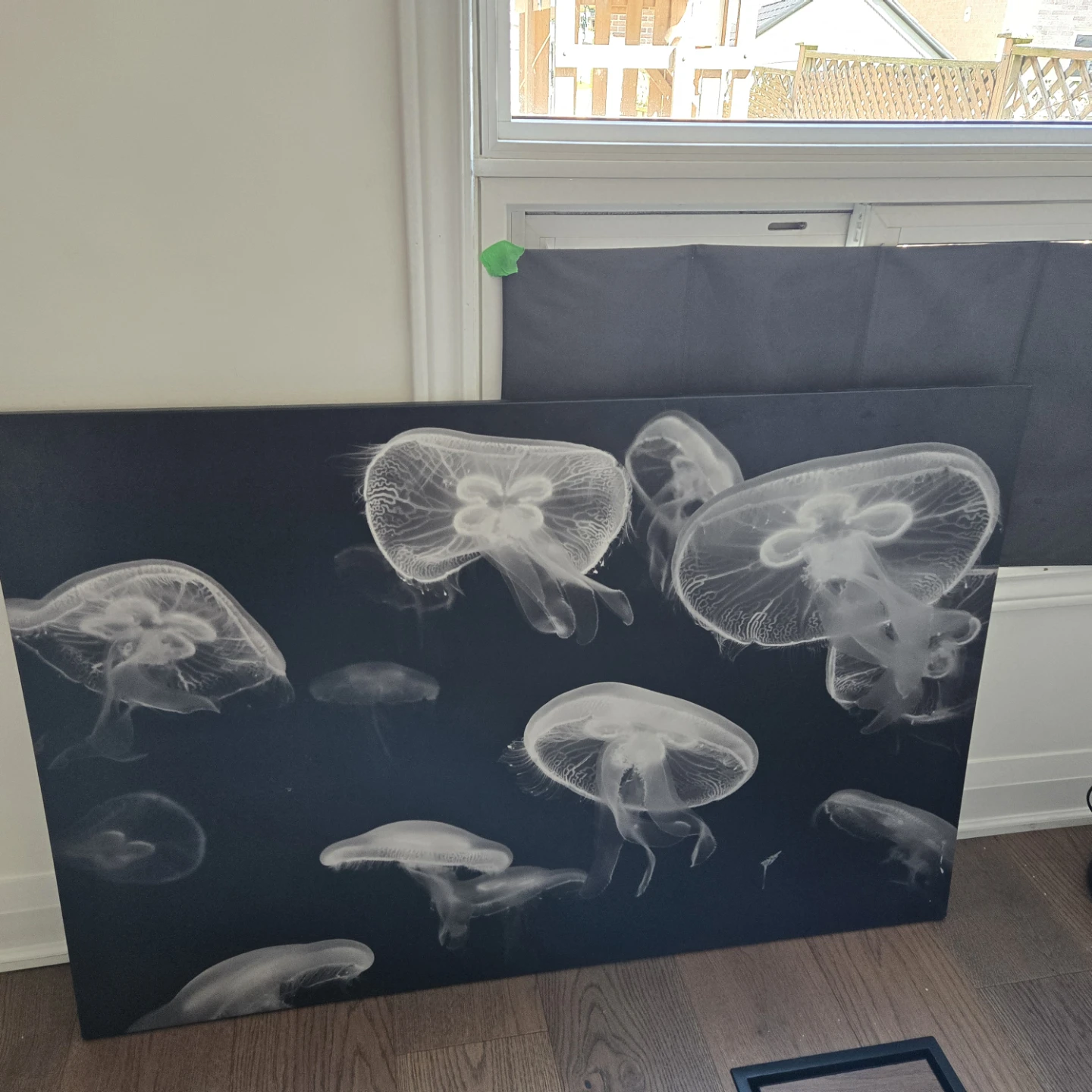 Jellyfish Canvas Wall Art - photo 2