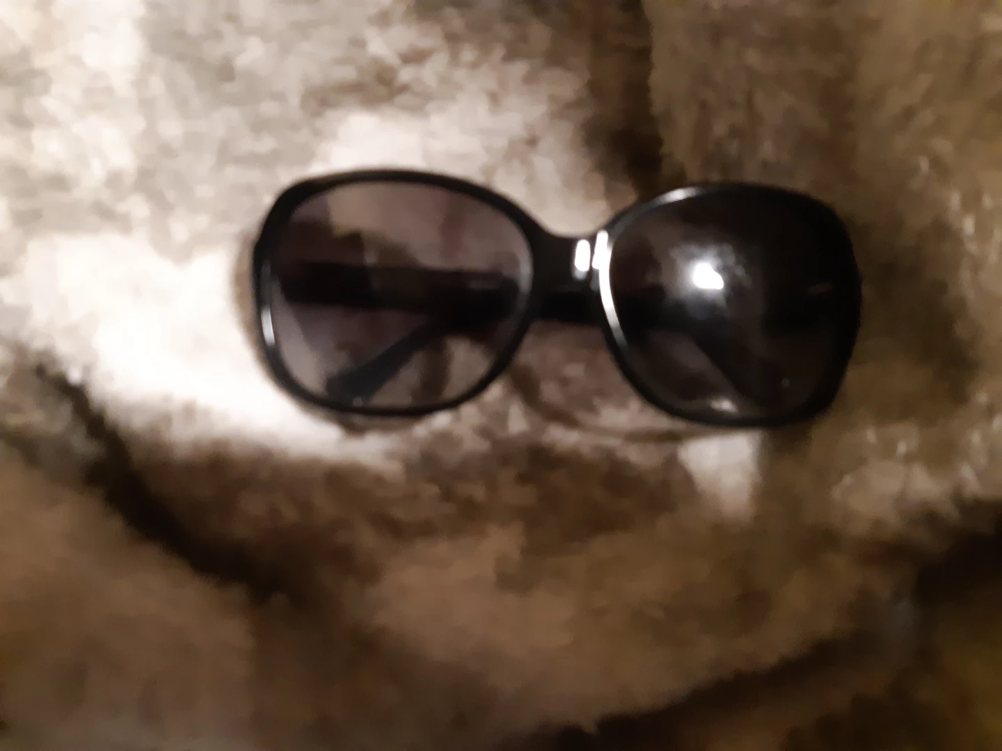 Coach Sunglasses