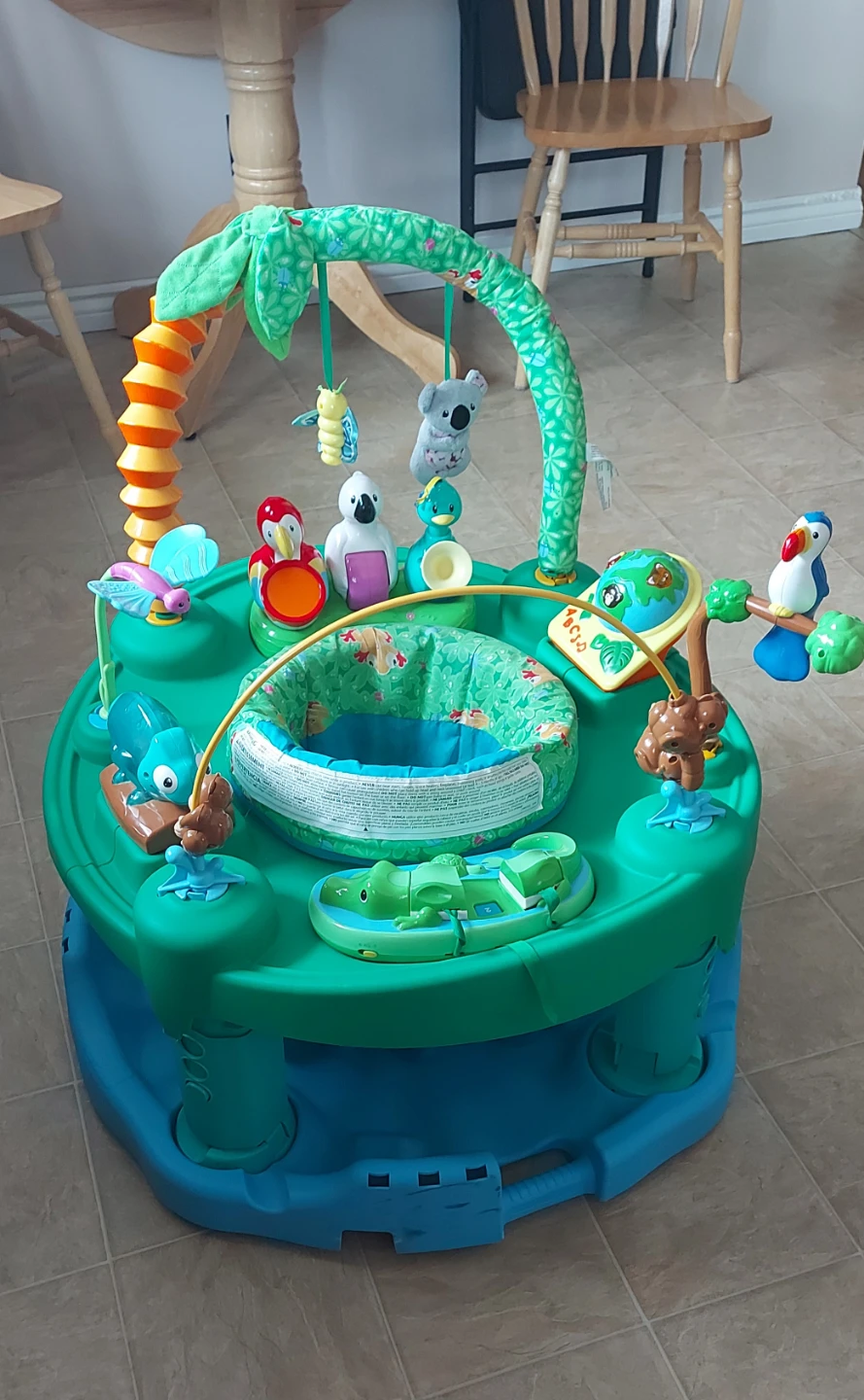 Jungle Exersaucer