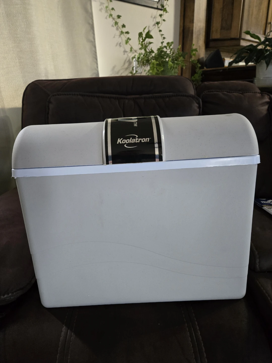 Koolatron Portable Electric Cooler