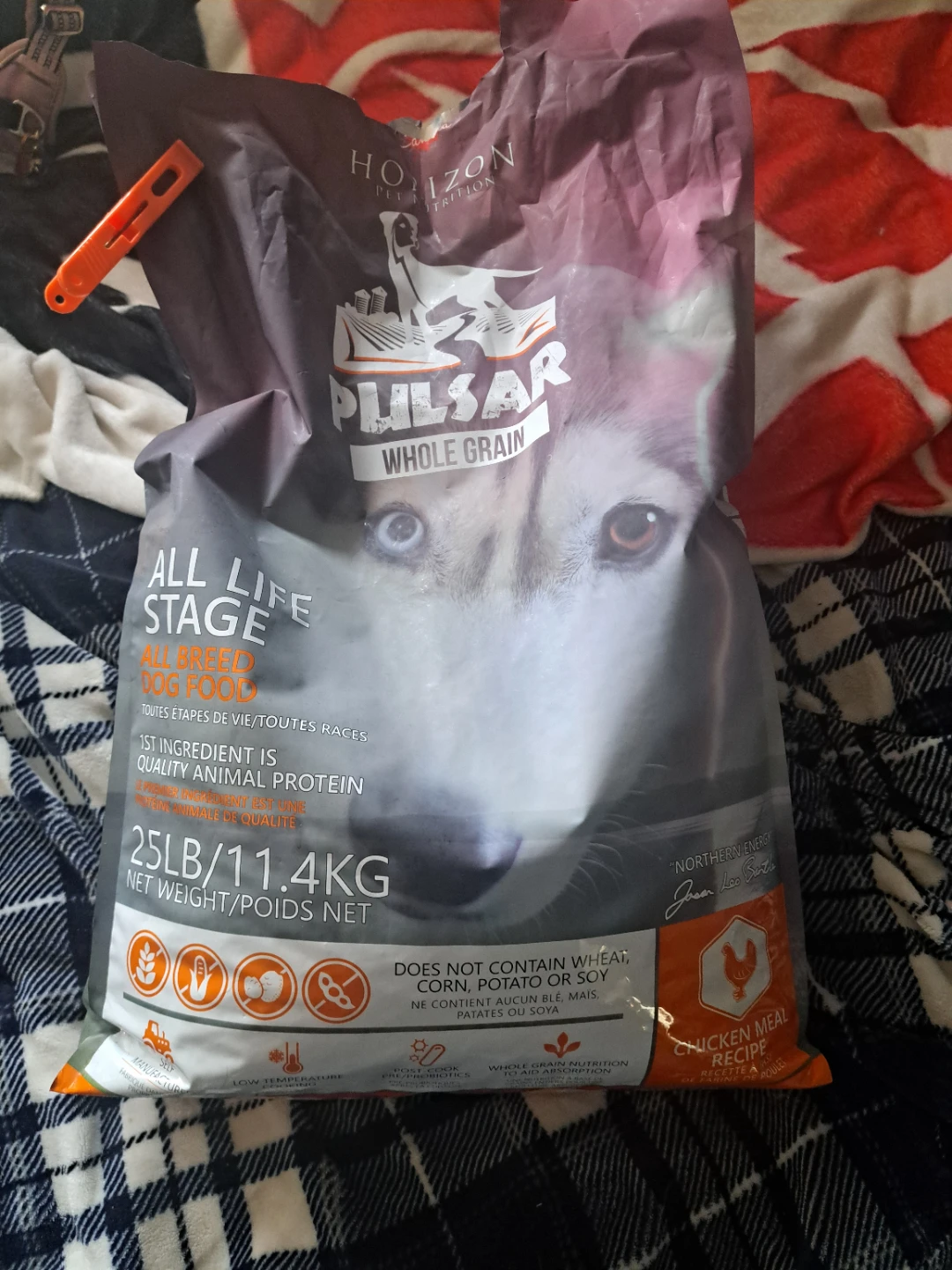 Opened bag of dog food