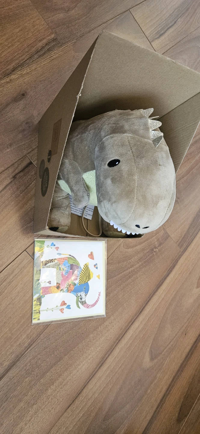Plush Dinosaur Toy with Card