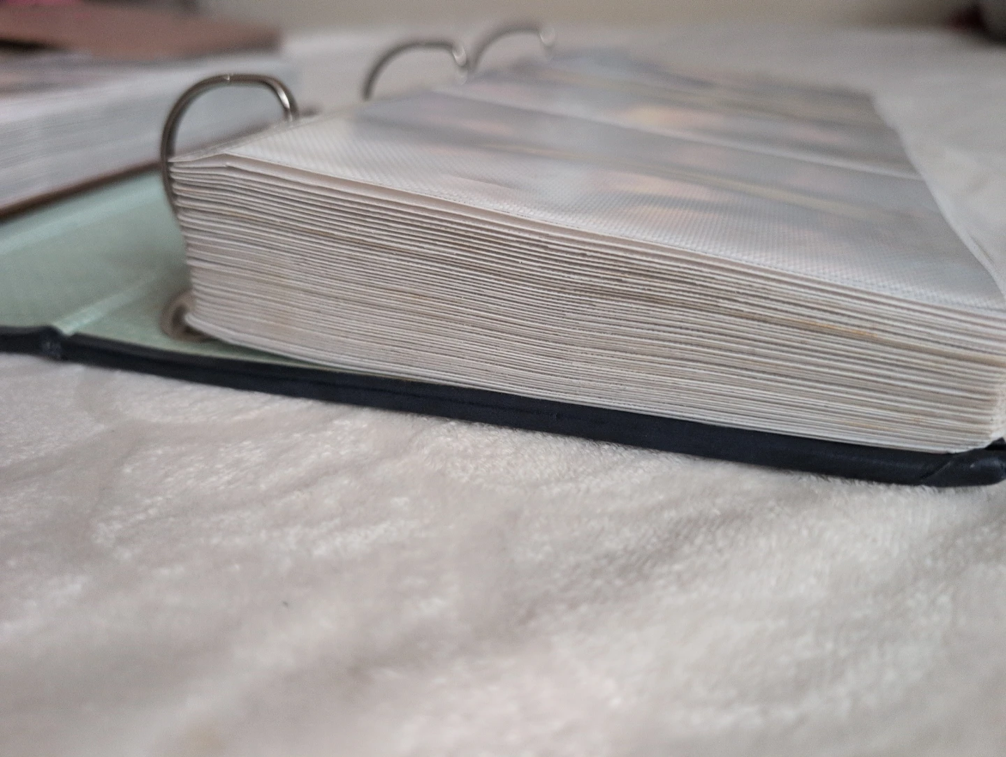 Two Photo Albums - Blue and Brown - photo 3