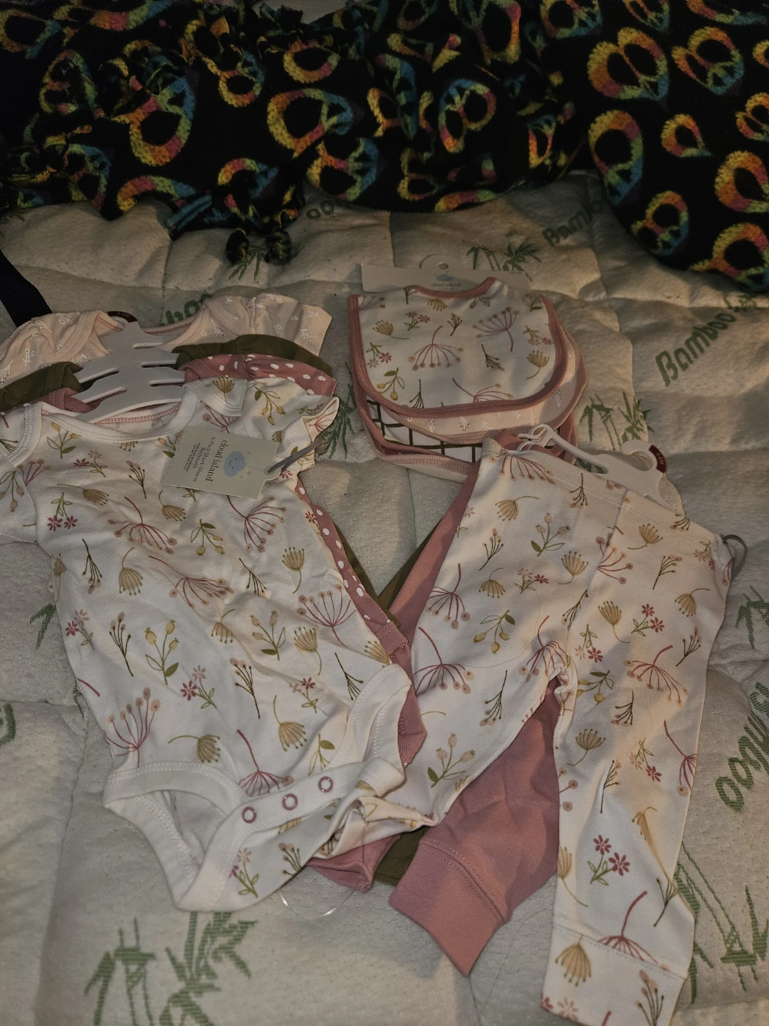 Cloud Island Baby Girl Floral Bodysuit and Pants Set with Bib