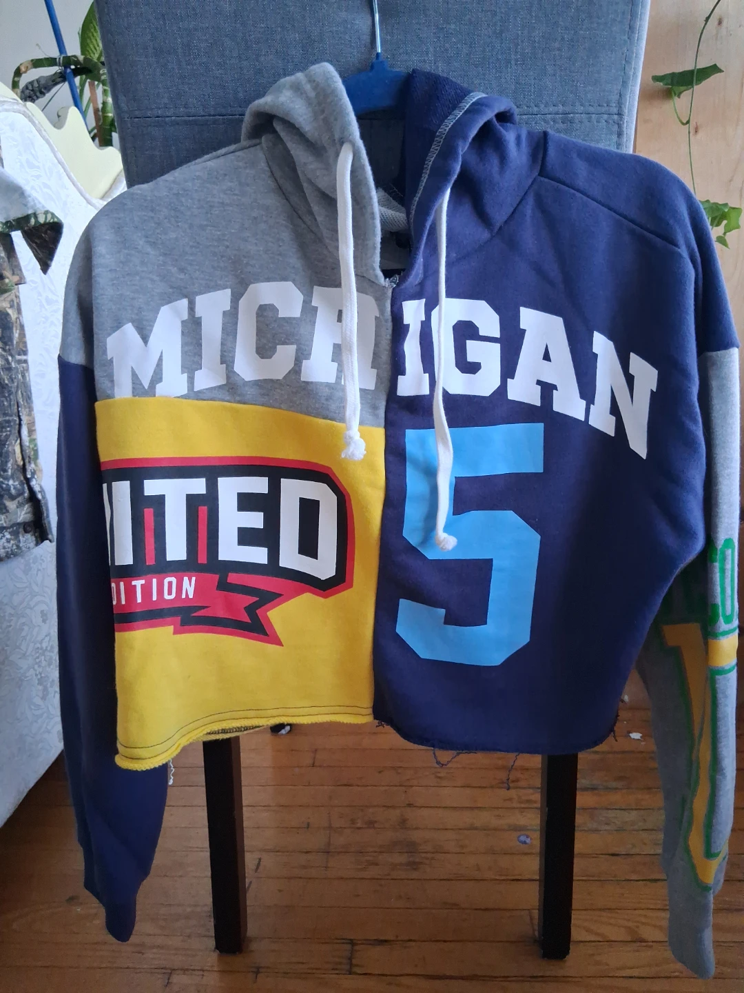 Michigan Limited Edition Hoodie