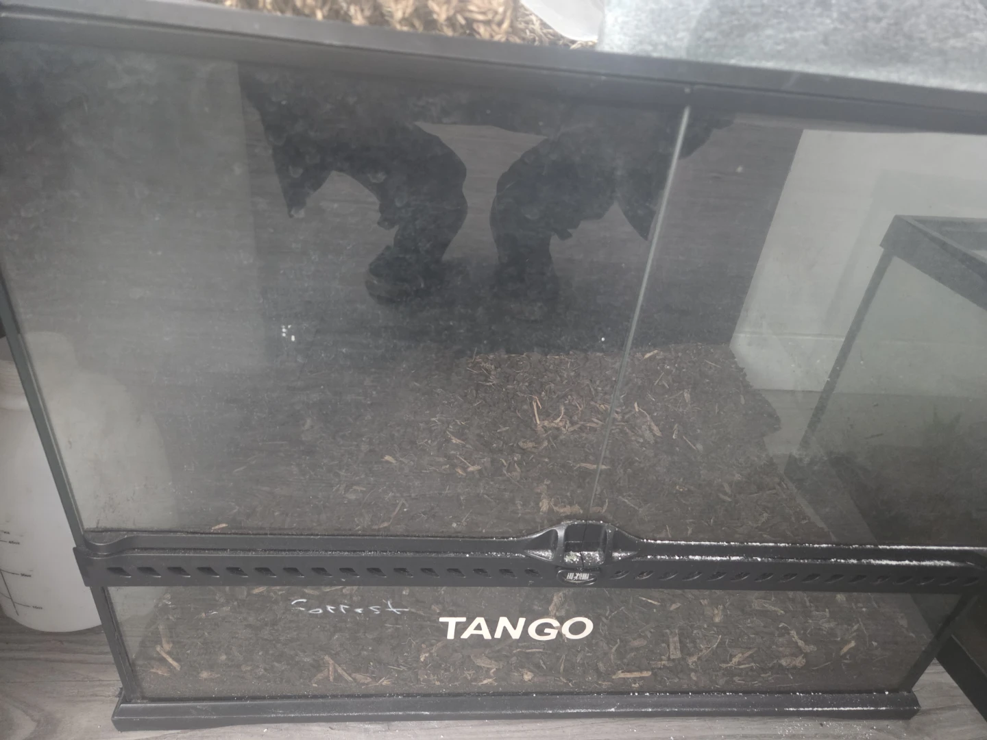 Exo Terra Terrarium