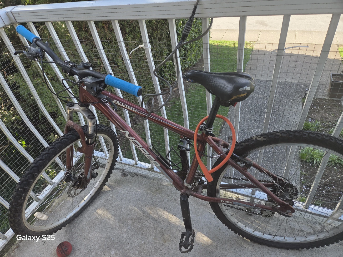 Pinnacle Mountain Bike