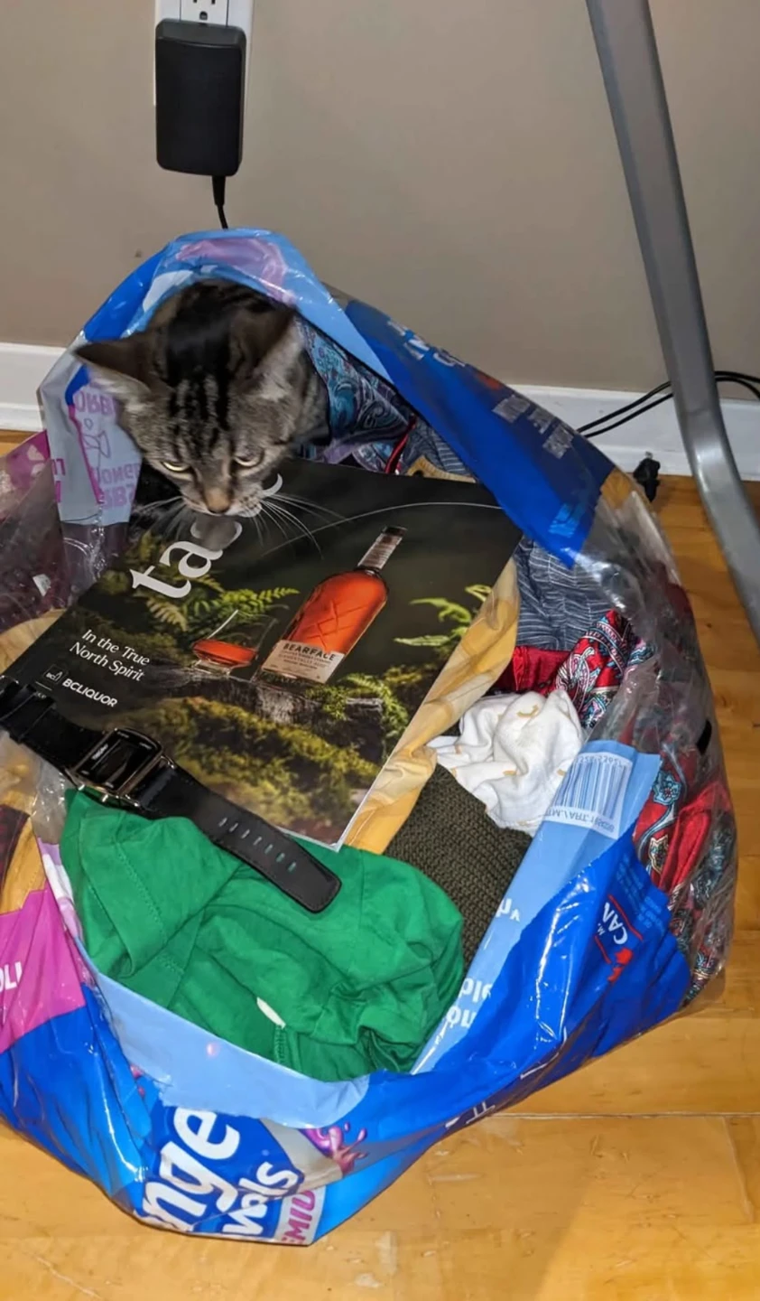 Every item you can think of FREE ( except cat lol)🥕