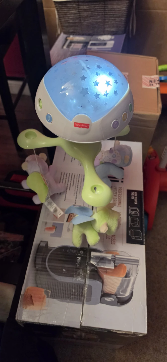 Fisher-Price Soothing Motions Plus Swing & Projector - photo 2