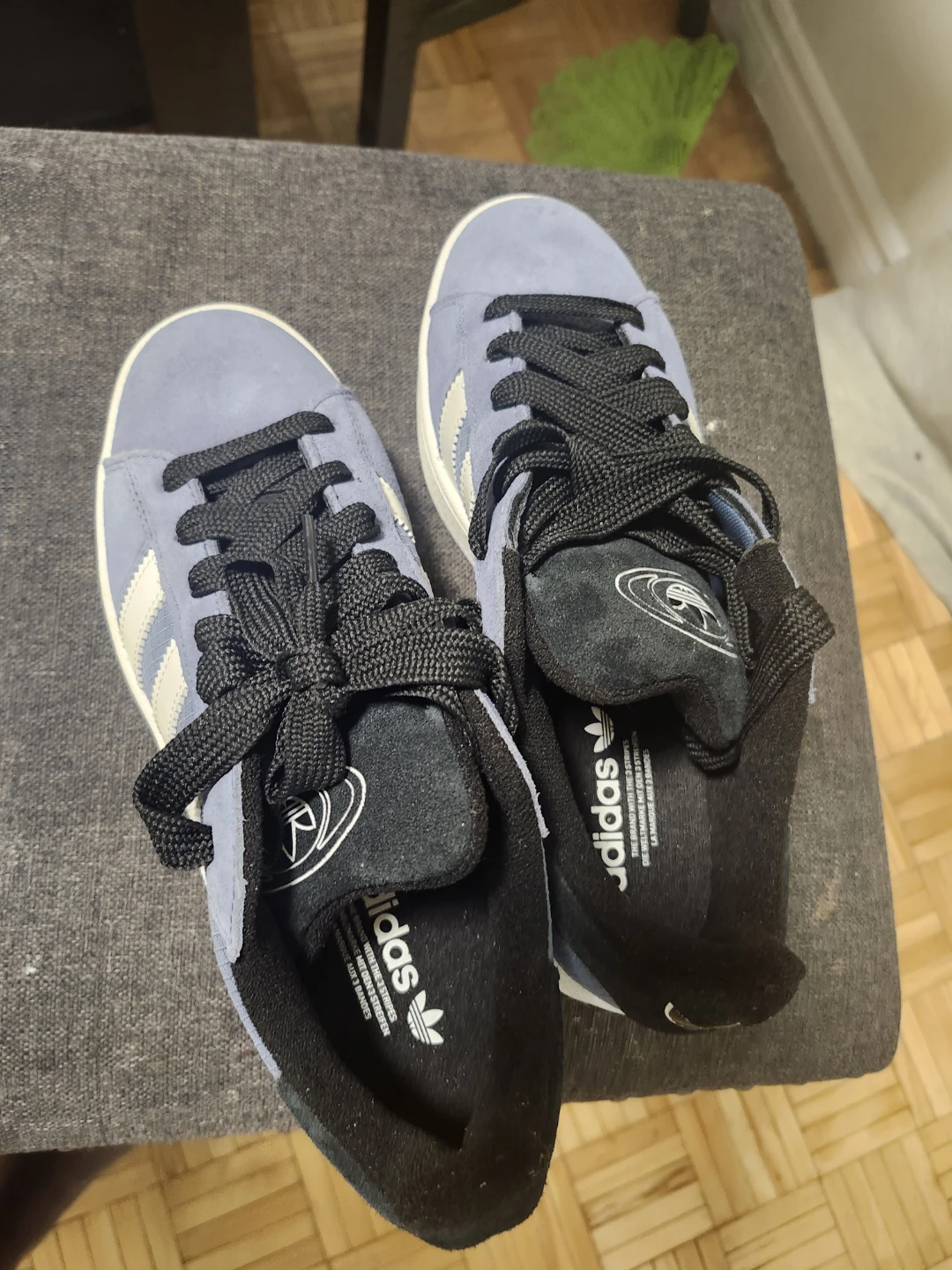 Adidas Campus Light Blue Suede Sneakers - photo 2