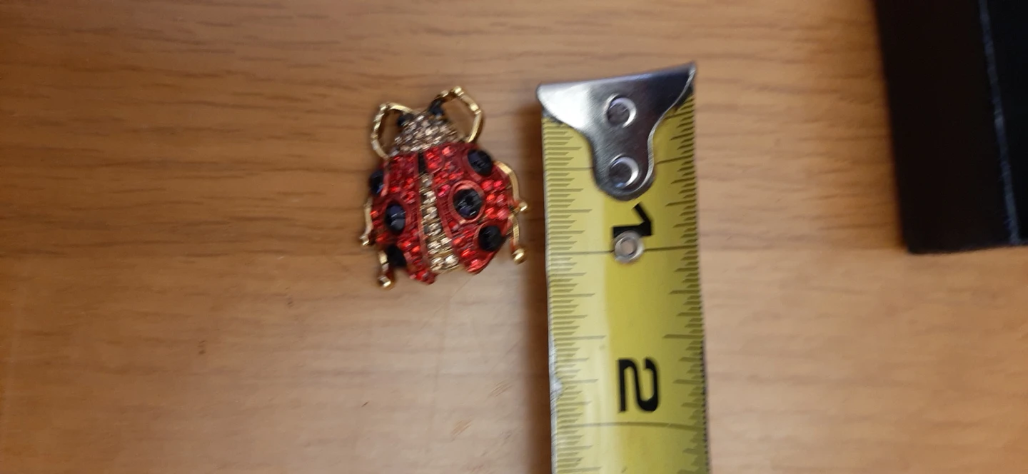 Ladybug Brooch - photo 3